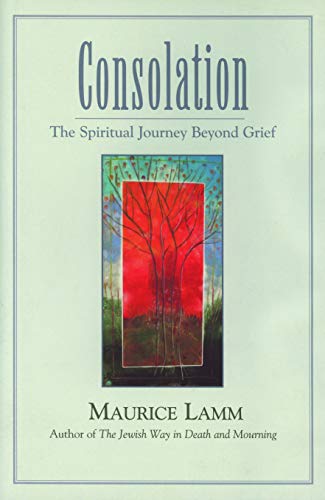 cover image CONSOLATION: The Spiritual Journey Beyond Grief