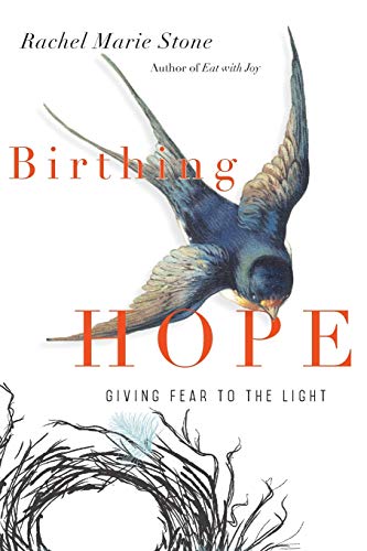 cover image Birthing Hope: Giving Fear to the Light
