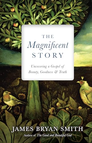 cover image The Magnificent Story: Uncovering a Gospel of Beauty, Goodness, and Truth