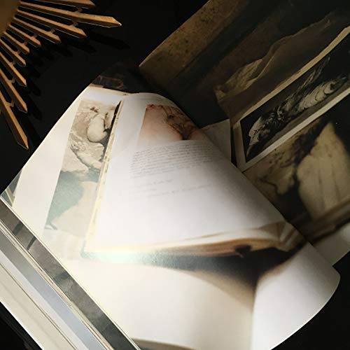 cover image Jenny Saville