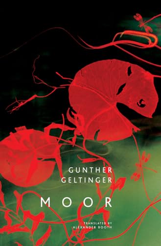 cover image Moor