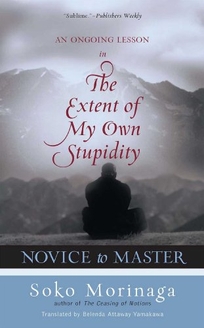 NOVICE TO MASTER: An Ongoing Lesson in the Extent of My Own Stupidity
