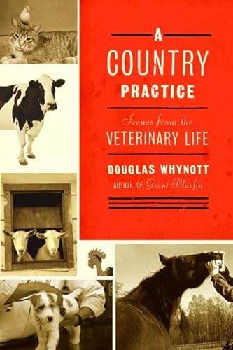 cover image A COUNTRY PRACTICE: Scenes from the Veterinary Life