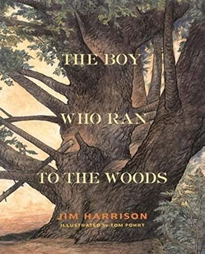 cover image The Boy Who Ran to the Woods