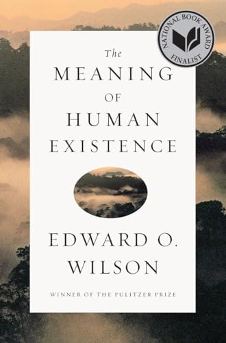 cover image The Meaning of Human Existence
