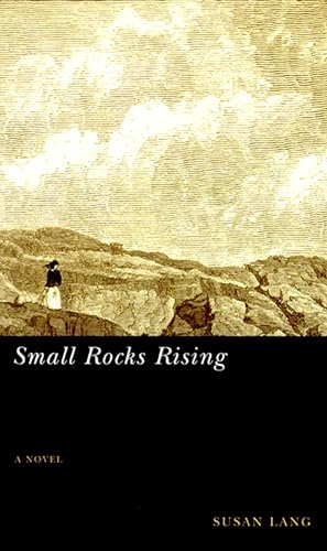cover image SMALL ROCKS RISING