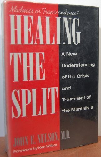 cover image Healing Split C
