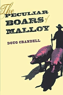 The Peculiar Boars of Malloy