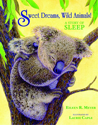 cover image Sweet Dreams, Wild Animals! A Story of Sleep