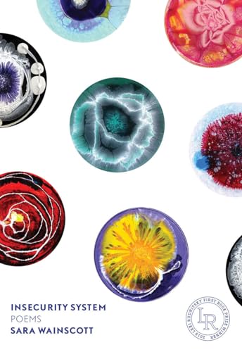 cover image Insecurity System