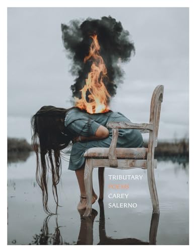 cover image Tributary