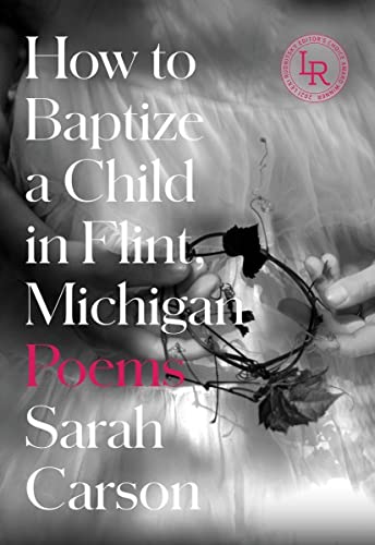 cover image How to Baptize a Child in Flint, Michigan