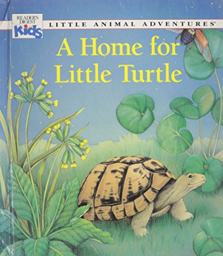 cover image A Home for Little Turtle: Little Animal Turtle