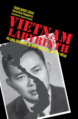 cover image Vietnam Labyrinth: Allies, Enemies, and Why the U.S. Lost the War