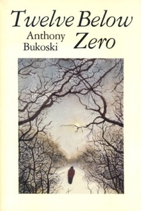 Twelve Below Zero