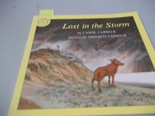 cover image Lost in the Storm