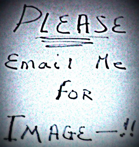 cover image The Heroes Who Fell from Grace: The True Story of Operation Lazarus, the Attempt to Free American POWs from Laos in 1982