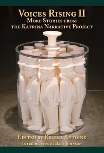 cover image Voices Rising II: More Stories from the Katrina Narrative Project