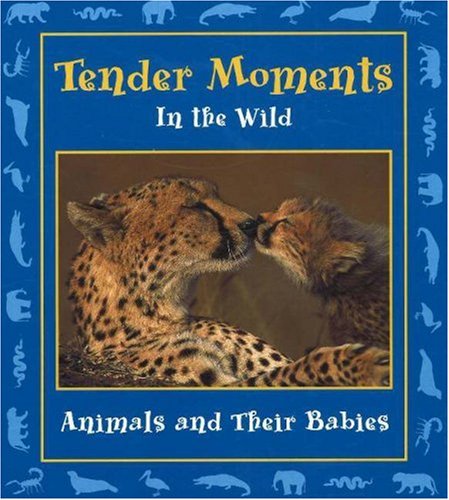 cover image Tender Moments in the Wild: Animals and Their Babies