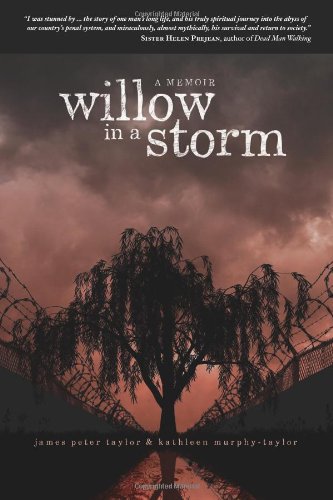 cover image Willow in a Storm: A Memoir