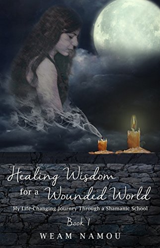 cover image Healing Wisdom for a Wounded World: My Life-Changing Journey through a Shamanic School