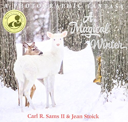 cover image A Magical Winter