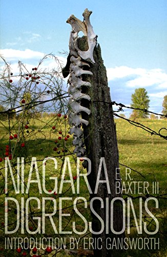 cover image Niagara Digressions: An Indirect Memoir