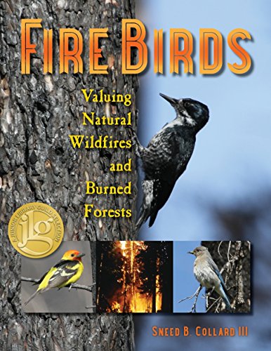 cover image Fire Birds: Valuing Natural Wildfires and Burned Forests