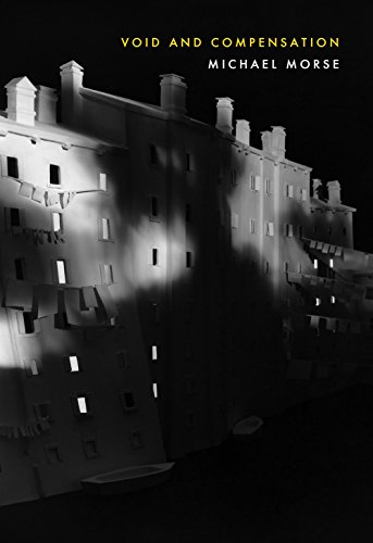 cover image Void and Compensation