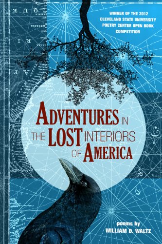 cover image Adventures in the Lost Interiors of America
