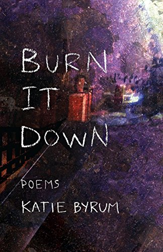 cover image Burn It Down