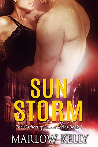 cover image Sun Storm