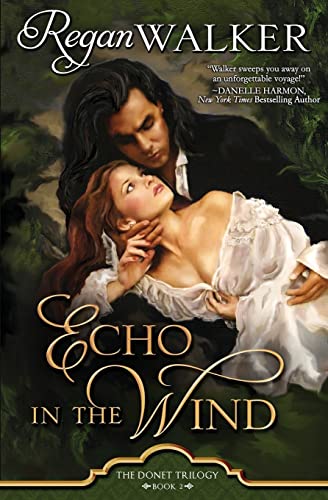 cover image Echo in the Wind