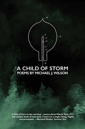 cover image A Child of Storm