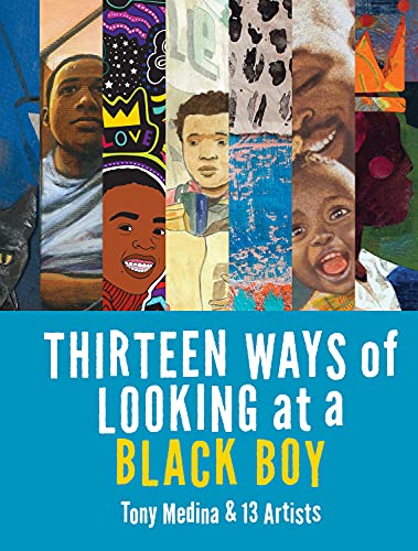 cover image Thirteen Ways of Looking at a Black Boy
