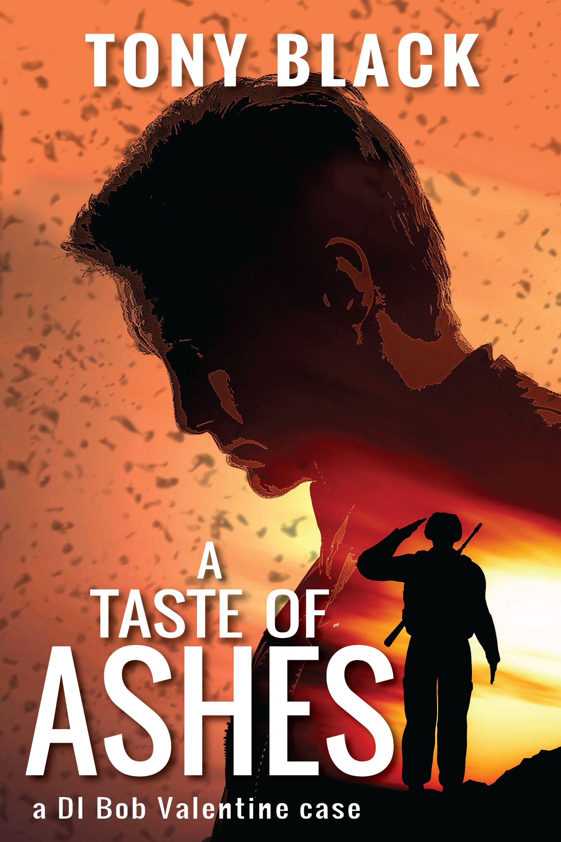 cover image A Taste of Ashes: A DI Bob Valentine Mystery