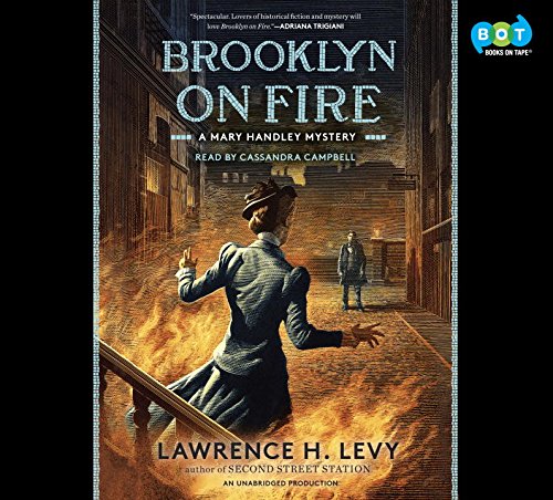 cover image Brooklyn on Fire: A Mary Handley Mystery