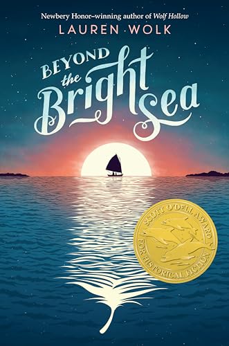cover image Beyond the Bright Sea