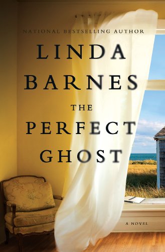 cover image The Perfect Ghost  