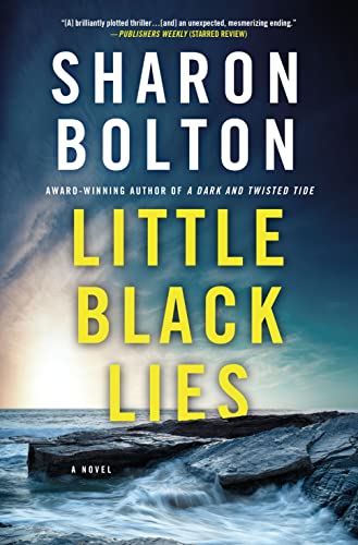 cover image Little Black Lies