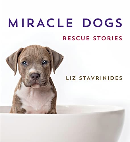 cover image Miracle Dogs: Rescue Stories