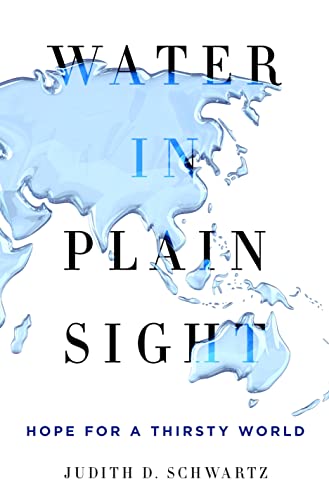 cover image Water in Plain Sight: Hope for a Thirsty World