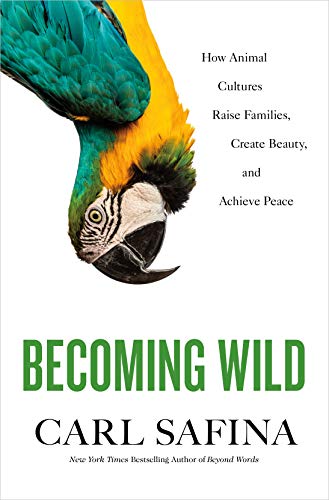 cover image Becoming Wild: How Animal Cultures Raise Families, Create Beauty, and Achieve Peace 