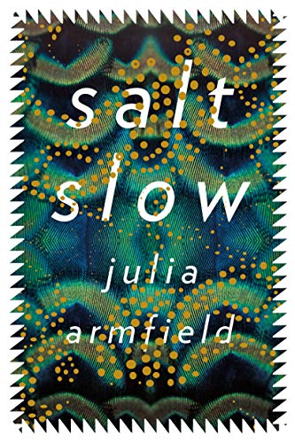 cover image Salt Slow