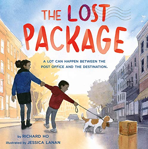 cover image The Lost Package