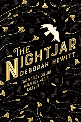 cover image The Nightjar