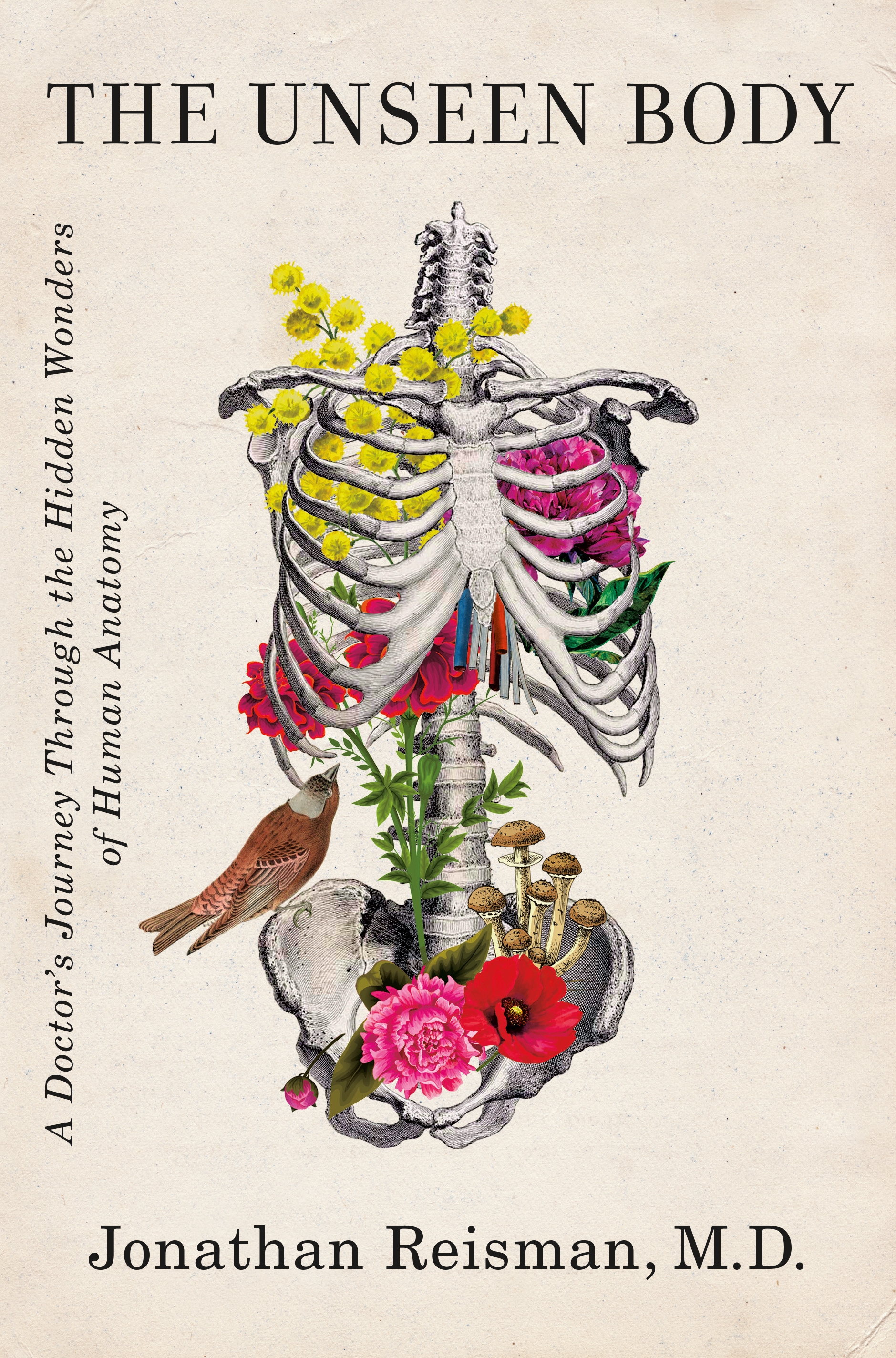 cover image The Unseen Body: A Doctor’s Journey Through the Hidden Wonders of Human Anatomy