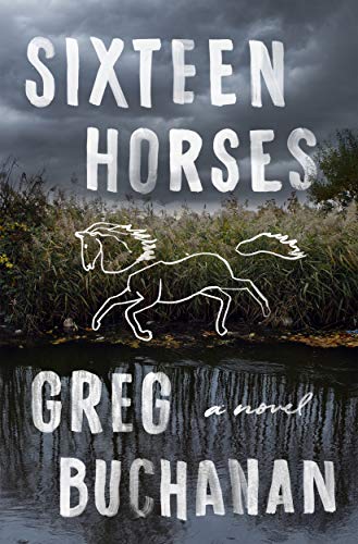 cover image Sixteen Horses