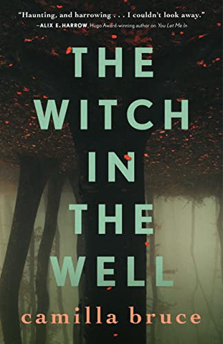 cover image The Witch in the Well