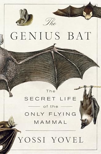 cover image The Genius Bat: The Secret Life of the Only Flying Mammal